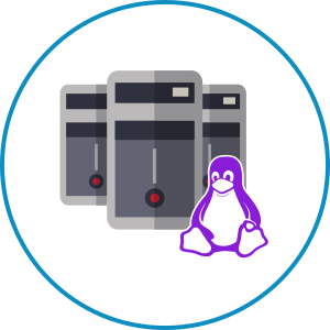 Servidor Dedicado Linux DS1